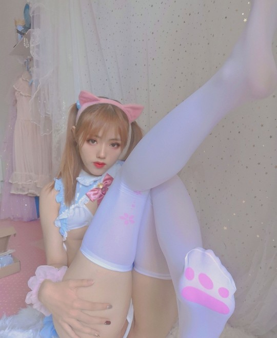 ����ϵ